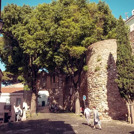 公寓 Casas Do Bairro Conqvistador Lisboa